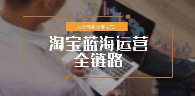 淘宝蓝海运营全链路，从选品到流量变现，小类目突围完整方案-立业有术