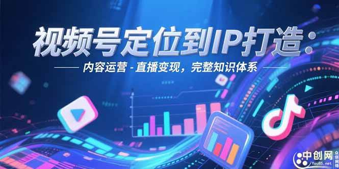 （15173期）视频号定位到IP打造：账号搭建-内容运营-直播变现，完整知识体系-立业有术