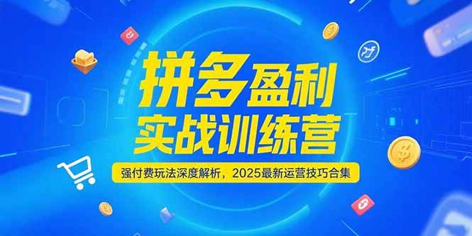 （15183期）拼多多盈利实战训练营，强付费玩法深度解析，2025最新运营技巧合集-立业有术