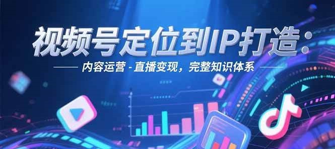 视频号定位到IP打造：账号搭建-内容运营-直播变现，完整知识体系-立业有术