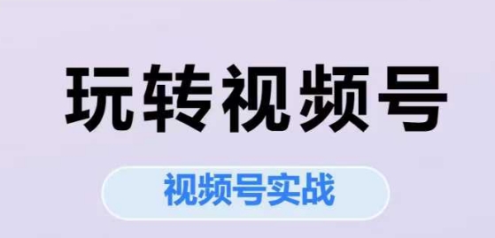 玩转视频号，视频号实战系列课-立业有术