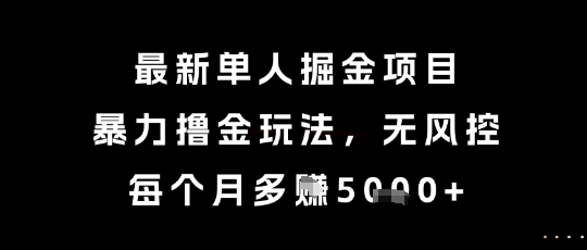 最新单人掘金项目，暴力撸金玩法，无风控，每个月多挣5k+【揭秘】-立业有术