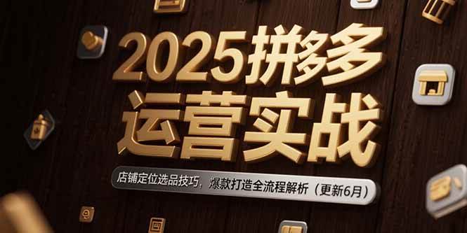 （15235期）2025拼多多运营实战：店铺定位选品技巧，爆款打造全流程解析（更新6月）-立业有术