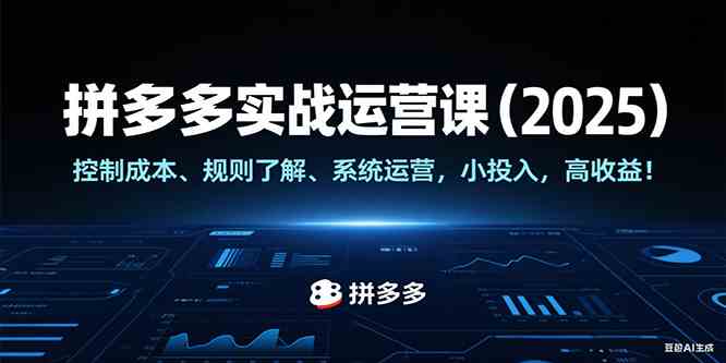 拼多多实战运营课（2025），控制成本、规则了解、系统运营，小投入，高收益！-立业有术