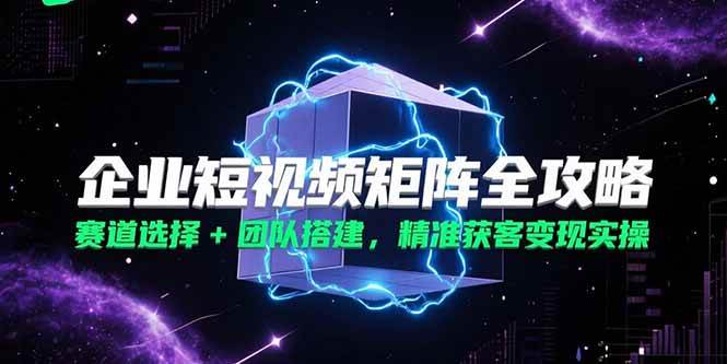 （15242期）企业短视频矩阵全攻略，赛道选择+团队搭建，精准获客变现实操-立业有术