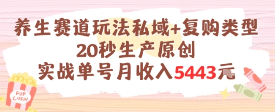 养生赛道玩法私域+复购类型，20秒生产原创实战单号月收入5k+-立业有术
