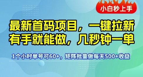 最新首码项目，一键拉新有手就能做，几秒钟一单，1个小时单号可60+，矩阵批量做每天5张【揭秘】-立业有术