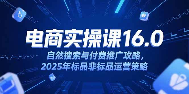 （15262期）淘宝电商运营课16.0，自然搜索与付费推广攻略，2025年标品非标品运营策略-立业有术