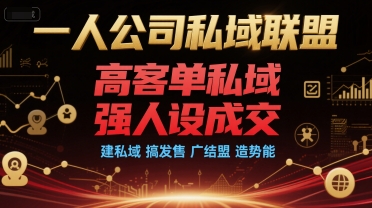一人公司私域联盟，高客单私域，强人设成交，建私域 搞发售 广结盟 造势能-立业有术