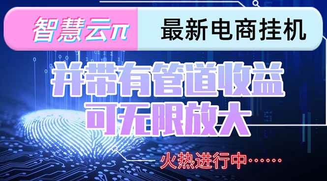 （15314期）智慧云π电脑挂机单机每天收益300—500+ 并带有团队管道收益 可无限放大-立业有术