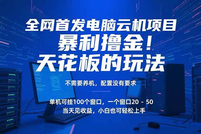 （15323期）电脑云机项目 暴力撸金玩法，不需要养机 配置没有要求 单机100个窗口一…-立业有术