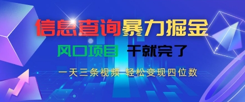 信息查询暴力掘金，一天三条视频，轻松变现四位数，风口项目干就完了【揭秘】-立业有术