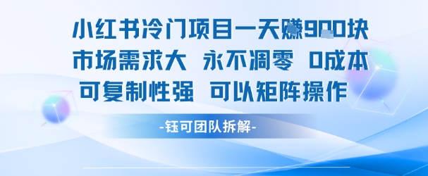 小红书冷门项目一天收益9张，市场需求大，0成本，可复制性强可以矩阵操作-立业有术