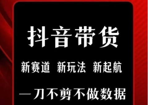 抖音短视频一刀不剪带货，不剪辑，不直播，每天发个视频，等着出单获取带货佣金-立业有术