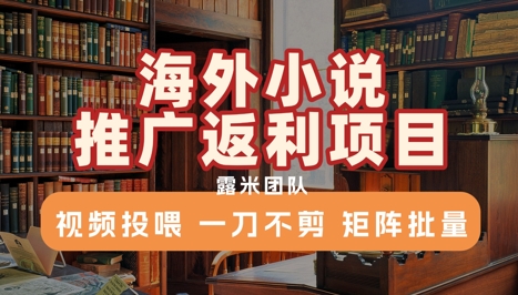 海外小说推广返利项目，视频投喂， 一刀不剪，矩阵批量-立业有术