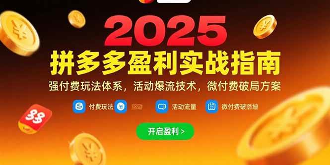 （15357期）拼多多盈利实战指南，强付费玩法，活动爆流技术，微付费破局方案(更新7月)-立业有术