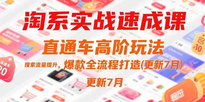 （15374期）淘系实战速成课，直通车高阶玩法，搜索流量提升，爆款全流程打造(更新7月)-立业有术