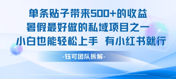 单条贴子带来5张的收益，暑假最好做的私域项目之一，小白也能轻松上手，有小红书就行-立业有术