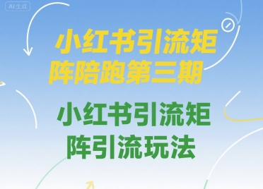 小红书引流矩阵陪跑第三期，小红书引流矩阵引流玩法-立业有术