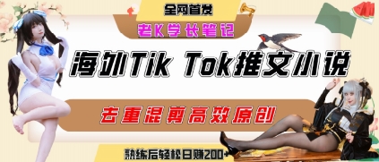 海外tiktok小说推文暴力项目，高停留率，高转化率，上手后一天搞顿饭钱不是问题-立业有术