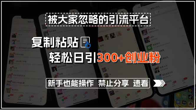（15428期）被大家忽略的引流平台，复制粘贴轻松日引300+创业粉，新手也能操作，禁…-立业有术