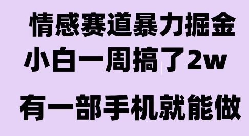 情感暴力掘金项目，新人操作一周挣了2W，长期稳定小白可做【揭秘】-立业有术