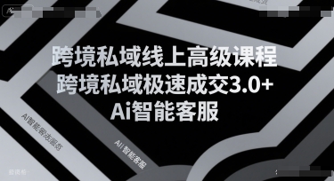 跨境私域线上高级课程，跨境私域极速成交3.0+Ai智能客服-立业有术