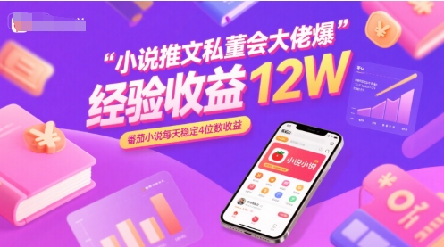 小说推文私董会大佬爆单经验分享收益12W，番茄小说每天稳定4位数收益-立业有术