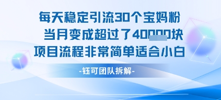 每天稳定引流30个人 当月变成超过了4个W项目流程非常简单适合小白-立业有术
