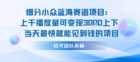 小众蓝海赛道项目：当天变现1k+适合新手操作 +适合长期玩-立业有术