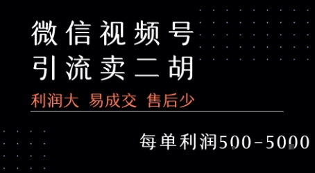 视频号卖二胡教程，利润大 易成交 售后少，一单利润5张+-立业有术