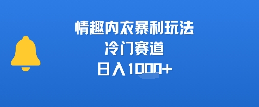 情趣内衣暴利玩法，冷门赛道，日入1k+-立业有术