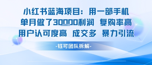 小红书蓝海项目，一部手机单月做了3W利润，小白也能月入过1W用户认可度高成交多-立业有术