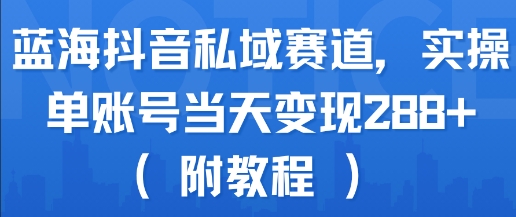 蓝海抖音私域赛道，实操单账号当天变现288+(附教程)-立业有术