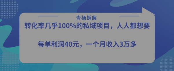 转化率最高的私域项目，每单利润40-50米，月入过1w-立业有术