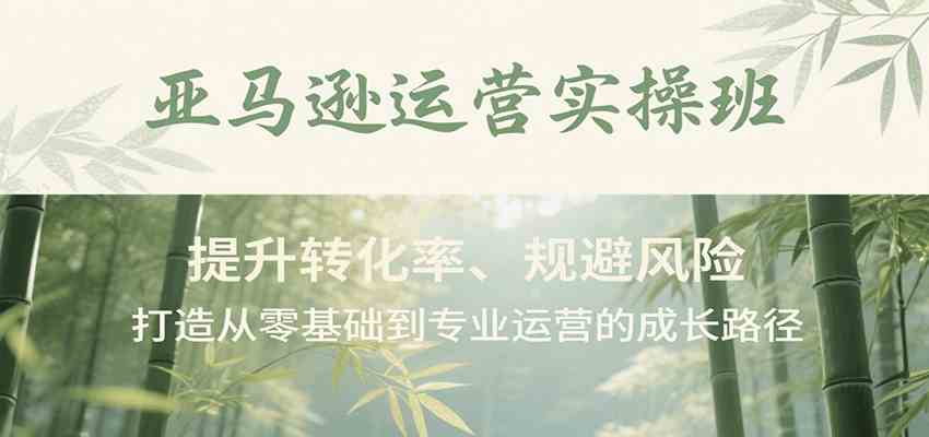 亚马逊运营实操班，提升转化率、规避风险，打造从零基础到专业运营的成长路径-立业有术