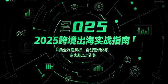 （15503期）2025跨境出海实战指南，并购全流程解析，自创营销体系，专家基本功训练-立业有术