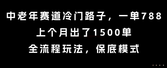 中老年赛道冷门路子，一单788，上个月出了1500单，全流程玩法，保底模式【揭秘】-立业有术