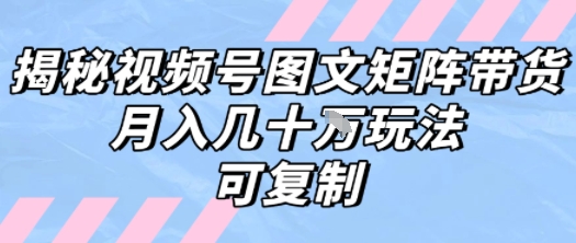 解密视频号图文矩阵带货，月入几个W的打法，可复制-立业有术