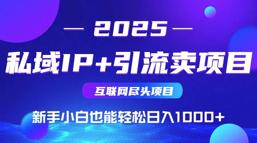（15531期）2025网创尽头项目，私域IP+引流，新手小白也能在家日入1000+-立业有术