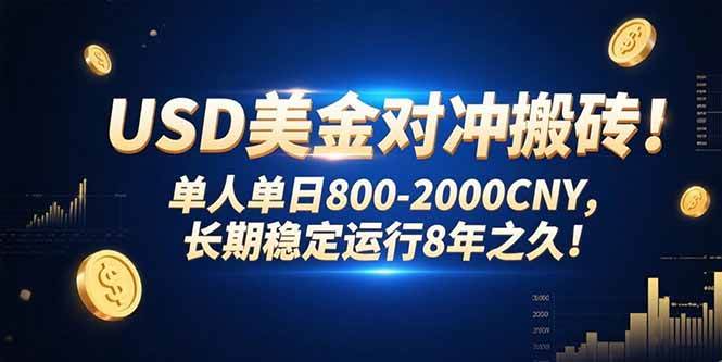 （15551期）USD美金对冲搬砖!单人单日800-2000CNY，长期稳定运行8年之久!-立业有术