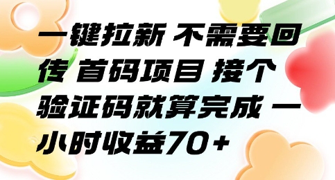 一键拉新 不需要回传 首码项目 接个验证码就算完成 一小时收益70+【揭秘】-立业有术