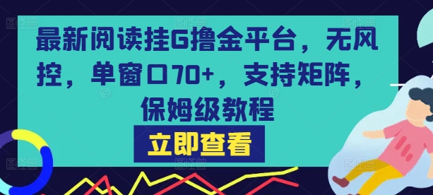 最新阅读挂G撸金平台，无风控，单窗口70+，支持矩阵，保姆级教程【揭秘】-立业有术