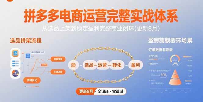 （15579期）拼多多电商运营完整实战体系，从选品上架到稳定盈利完整商业闭环(更新8月)-立业有术