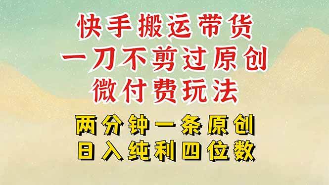 （15577期）快手黑科技搬运带货，一刀不剪过原创，微付费投流玩法，轻松日入四位数…-立业有术