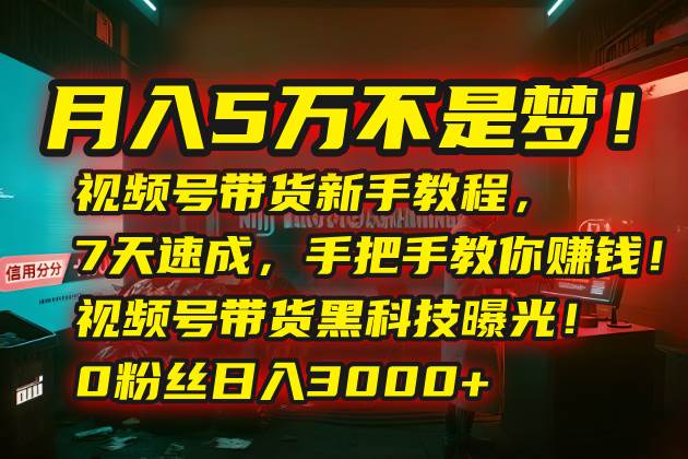 （15595期）月入5万不是梦！视频号带货新手教程，7天速成，手把手教你赚钱！视频号…-立业有术