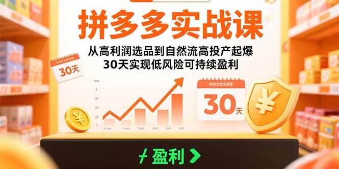 （15586期）拼多多实战课：从高利润选品到自然流高投产起爆 30天实现低风险可持续盈利-立业有术