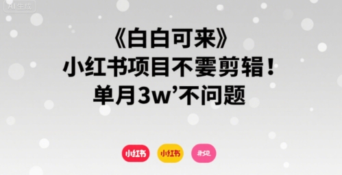 小白可来 小红书项目不需要剪辑 单月3w不是问题-立业有术