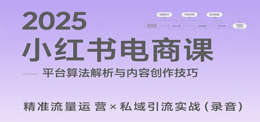 2025小红书电商课：解析算法，创作高转化内容，助力卖家获取流量实现变现（录音）-立业有术