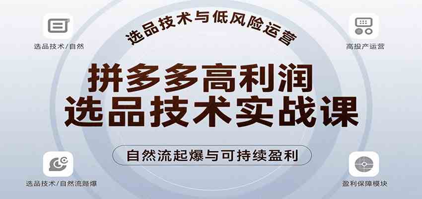 拼多多高利润选品技术实战课，手把手教学自然流高投产起爆，实现低风险可持续盈利-立业有术